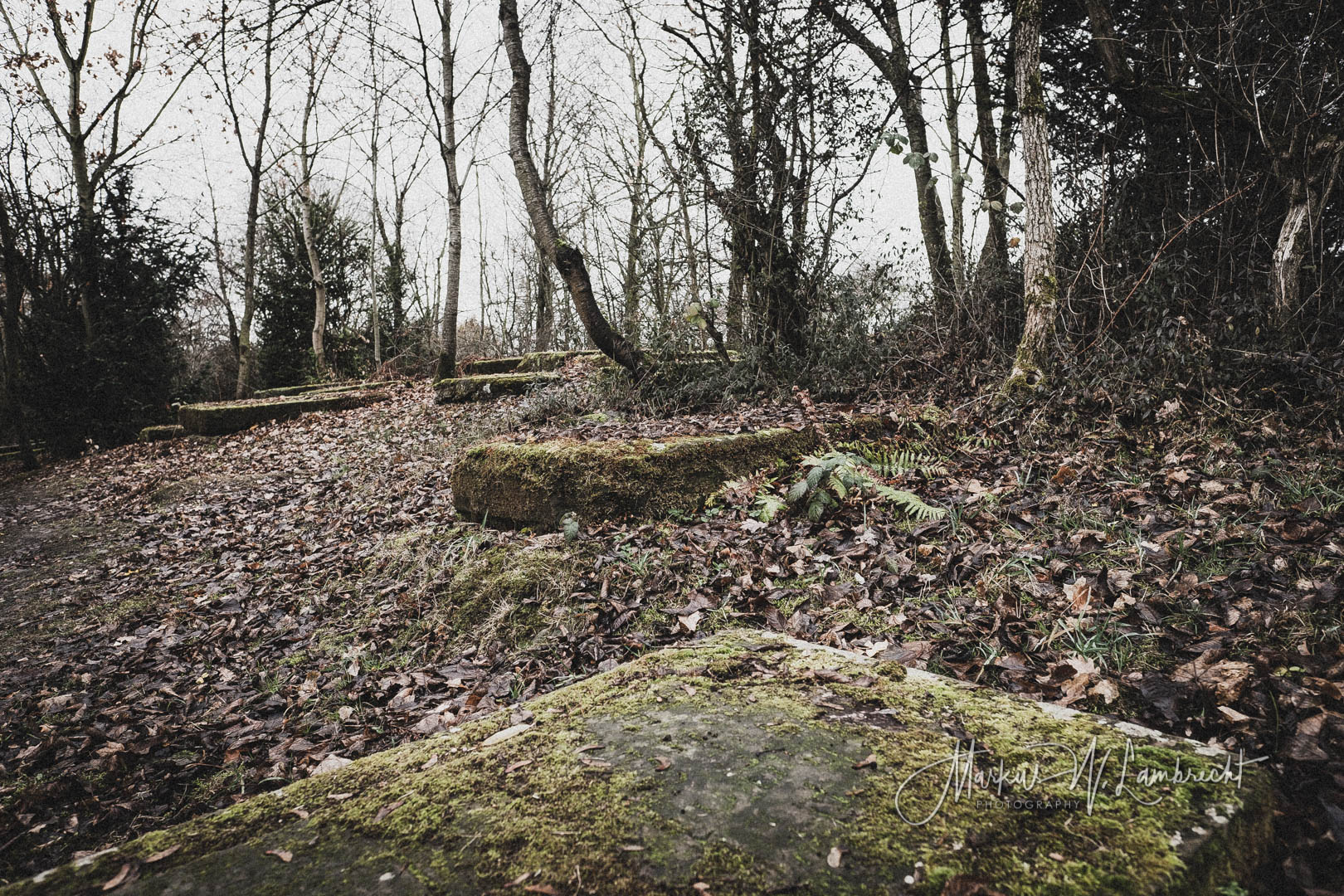 Bovenden, Jüdischer Friedhof